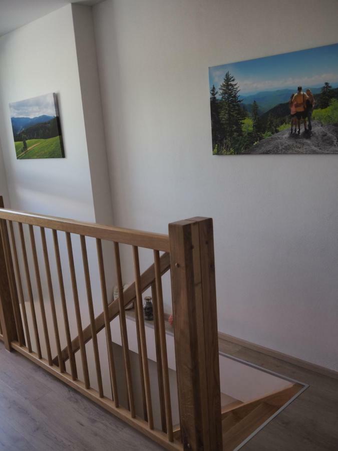 Dolni Morava - Apartmany Exterior photo